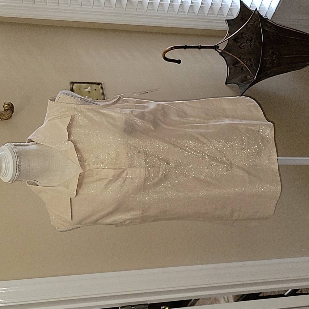Talbots champagne sparkle sleeveless top collar modified V neck Size 10P…New